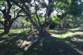 Property photo of 25 Riversleigh Road Beachmere QLD 4510