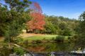Property photo of 545 Upper Brookfield Road Upper Brookfield QLD 4069