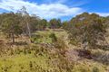 Property photo of 2515 Nullo Mountain Road Nullo Mountain NSW 2849