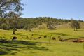 Property photo of 466 Dunns Road Doubtful Creek NSW 2470