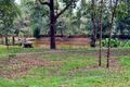 Property photo of 68 Lloyds Road Wanora QLD 4306