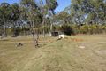 Property photo of 243 Cobraball Road Bondoola QLD 4703
