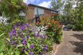 Property photo of 14 Pines Avenue Cooroibah QLD 4565