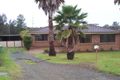 Property photo of 49 Hillcrest Avenue Tacoma NSW 2259