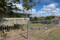 Property photo of 57 Lascelles Street Bowen QLD 4805