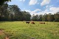 Property photo of 361 Yandina Cooloolabin Road Cooloolabin QLD 4560