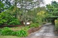 Property photo of 58 Cliff Drive Katoomba NSW 2780