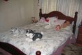 Property photo of 38 Lee Street Cowra NSW 2794
