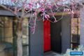 Property photo of 31 Kohlhagen Street Conder ACT 2906