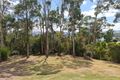 Property photo of 16 Main Road Lanena TAS 7275