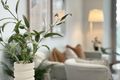 Property photo of 1103/11 Alberta Street Sydney NSW 2000