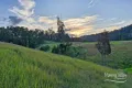 Property photo of 2181 Bulga Road Bobin NSW 2429