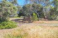 Property photo of 11 Paringa Avenue Port Lincoln SA 5606