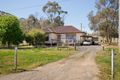 Property photo of 38 Monash Street Newstead VIC 3462