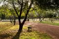 Property photo of 25 Corona Way Belhus WA 6069