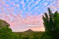 Property photo of 21 Lilly Pilly Rise Eumundi QLD 4562