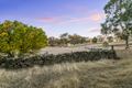 Property photo of 65 Lablacks Road Springton SA 5235