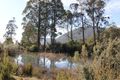 Property photo of 265 Mount Hull Road Collinsvale TAS 7012