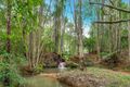 Property photo of 593 Houghlahans Creek Road Pearces Creek NSW 2477