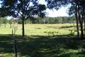 Property photo of 1029 Noosa Road Mothar Mountain QLD 4570