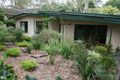 Property photo of 10 Corella Avenue Glenalta SA 5052
