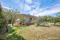 Property photo of 34 Golden Grove Red Hill ACT 2603
