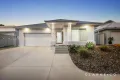 Property photo of 28 Corella Close Aberglasslyn NSW 2320