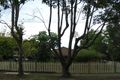 Property photo of 16 Valewood Crescent Marsfield NSW 2122