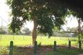 Property photo of 1 Kookaburra Court Condon QLD 4815