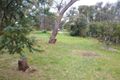 Property photo of 37 Courtneys Road Belgrave South VIC 3160