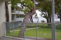 Property photo of 51/30 Sirrocco Drive Erskine WA 6210