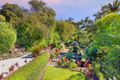 Property photo of 33 Redman Road Dee Why NSW 2099