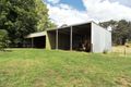 Property photo of 617 Willigobung Road Willigobung NSW 2653