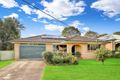 Property photo of 1 Lamonerie Street Toongabbie NSW 2146