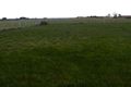 Property photo of 135 Point Richards Road Portarlington VIC 3223