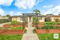 Property photo of 17 Judith Crescent Morphett Vale SA 5162