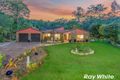 Property photo of 21 Pinecone Court Bunya QLD 4055