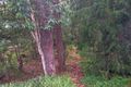 Property photo of 27 Long Beach Road Long Beach NSW 2536