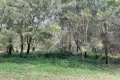 Property photo of 12 Rainbow Avenue Macleay Island QLD 4184