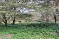 Property photo of 12 Rainbow Avenue Macleay Island QLD 4184