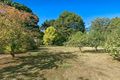 Property photo of 283 Red Hill Road Merricks North VIC 3926
