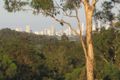 Property photo of 174 San Fernando Drive Worongary QLD 4213