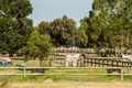 Property photo of 131 Tapper Road Banjup WA 6164