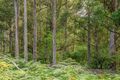 Property photo of LOT 1 Fyfes Road Mountain River TAS 7109