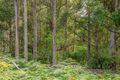 Property photo of LOT 1 Fyfes Road Mountain River TAS 7109