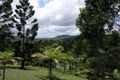 Property photo of 40 Bradman Drive Currumbin Valley QLD 4223