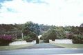 Property photo of 19 Mobbs Place Ormeau QLD 4208