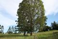Property photo of 347 Old Goomboorian Road Veteran QLD 4570