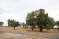 Property photo of 142 Kempton Street Bluff Point WA 6530