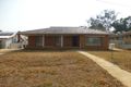 Property photo of 133 Euchie Street Peak Hill NSW 2869